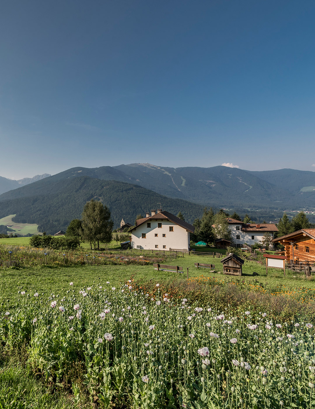 Rundwanderung in Reischach